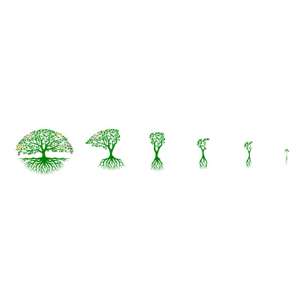 tree Logo PNG Vector