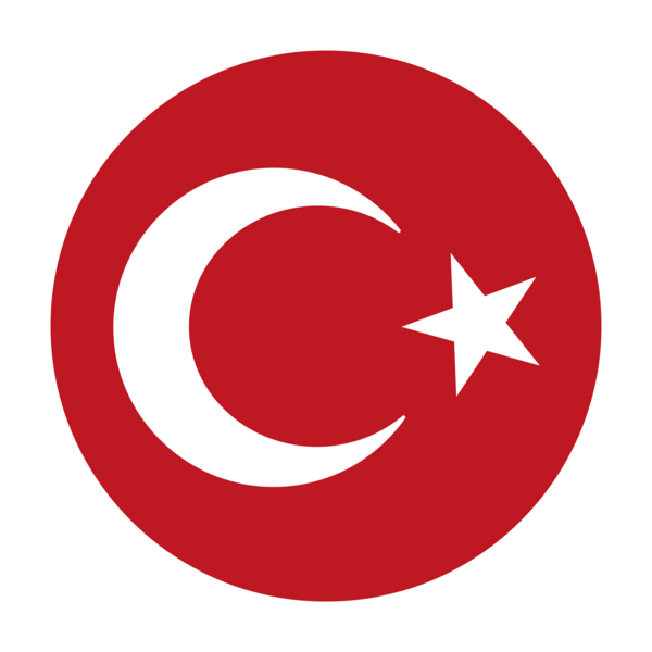 Türk Bayrağı TURKISH FLAG Logo PNG Vector