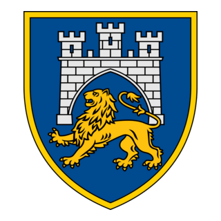 125th Heavy Mechanized Brigade Logo PNG Vector