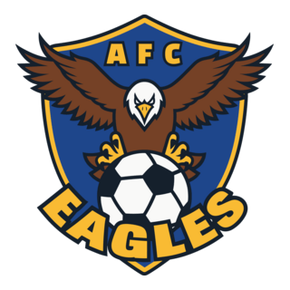 Academy Eagles (Turks and Caicos) Logo PNG Vector