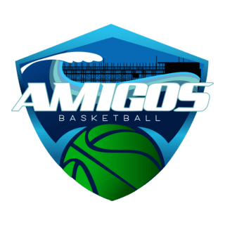 Amigos Basketball Logo PNG Vector