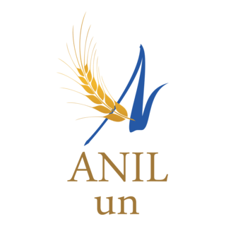 anil un Logo PNG Vector