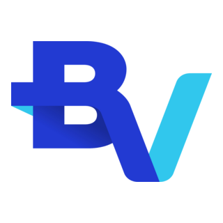 Banco BV Logo PNG Vector
