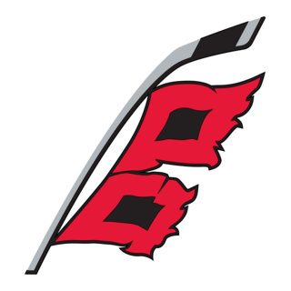 Carolina Hurricanes Logo PNG Vector