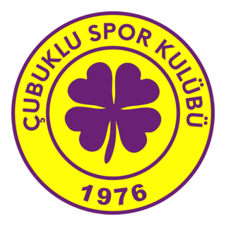 Çubuklu Spor Logo PNG Vector