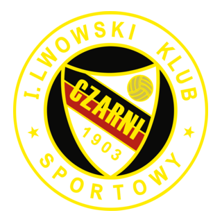 Czarni Lwów Logo PNG Vector