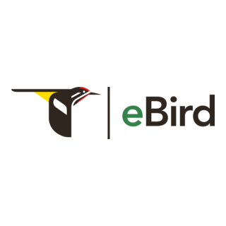 eBird Logo PNG Vector