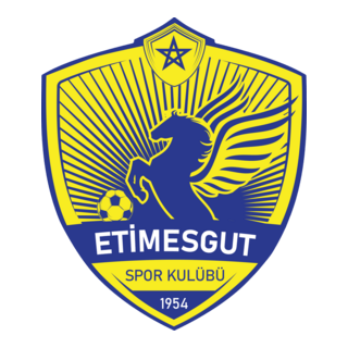 Etimesgut Spor Kulübü Logo PNG Vector