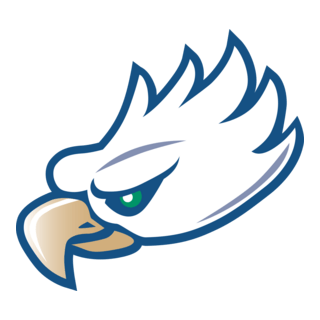 Florida Gulf Coast Eagles Logo PNG Vector