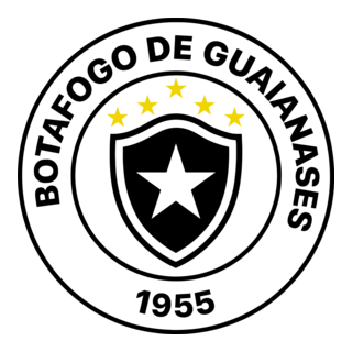 GRÊMIO BOTAFOGO FUTEBOL CLUBE DE GUAIANASES Logo PNG Vector