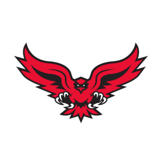 Hartford Hawks Logo PNG Vector