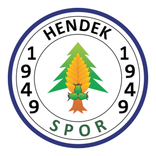 Hendek Spor Logo PNG Vector