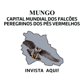 MUNGO - CAPITAL DOS FALCÕES PEREGRINOS DOS PÉS VER Logo PNG Vector