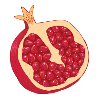 Pomegranate / ডালিম Logo PNG Vector