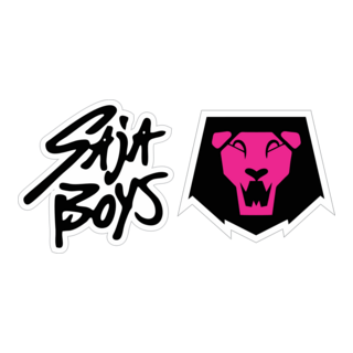 SAJA BOYS HUNTRIX Logo PNG Vector