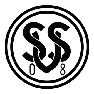 Sportverein 08 Steinach Logo PNG Vector