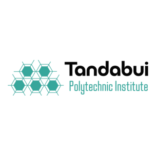 Tandabui Polytechnic Institute Logo PNG Vector