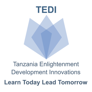 Tanzania Enlightenment Development Innovations Logo PNG Vector