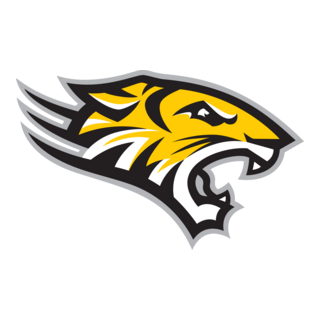 Towson Tigers Logo PNG Vector