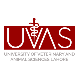 University of Veterinary & Animal Sciences Logo PNG Vector