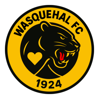Wasquehal Football Club Logo PNG Vector