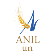 anil un Logo PNG Vector