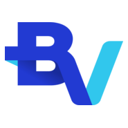 Banco BV Logo PNG Vector