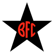 Botafogo Football Club (Santana) Logo PNG Vector