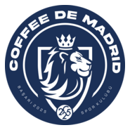 CDM Başarı Spor Kulübü Logo PNG Vector