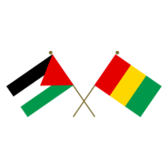 Crossed Flags of Palestine and Guinea Logo PNG Vector