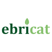 Ebricat.ci Logo PNG Vector