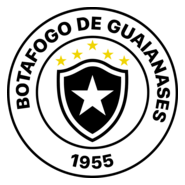 GRÊMIO BOTAFOGO FUTEBOL CLUBE DE GUAIANASES Logo PNG Vector