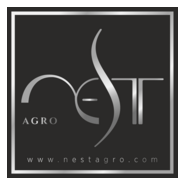 Nest Logo PNG Vector