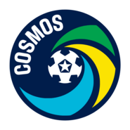 New York Cosmos Logo PNG Vector