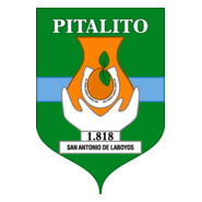 Pitalito Logo PNG Vector