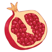 Pomegranate / ডালিম Logo PNG Vector