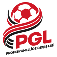 Profesyonelliğe Geçiş Ligi Logo PNG Vector