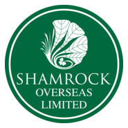 Shamrock Overseas Logo PNG Vector