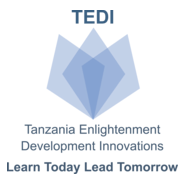 Tanzania Enlightenment Development Innovations Logo PNG Vector