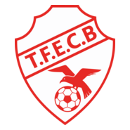Terra Firme Esporte Clube (Belém) Logo PNG Vector