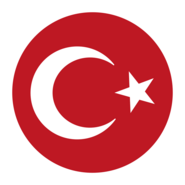 Türk Bayrağı TURKISH FLAG Logo PNG Vector