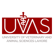 University of Veterinary & Animal Sciences Logo PNG Vector