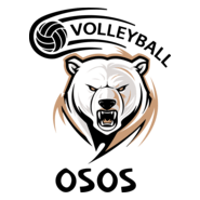 Volleyball osos Logo PNG Vector