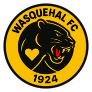 Wasquehal Football Club Logo PNG Vector