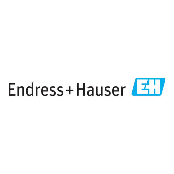 Endress+Hauser Group Logo PNG Vector