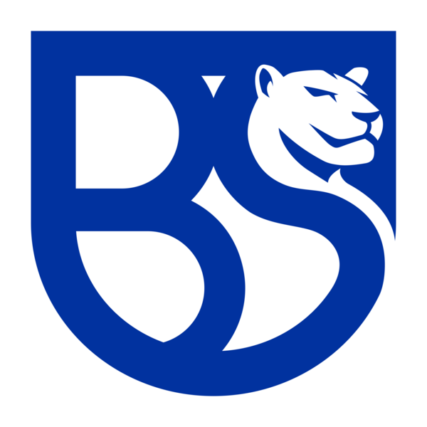 Union Brescia Logo PNG Vector