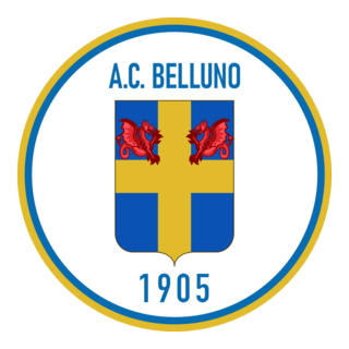 AC Belluno Logo PNG Vector