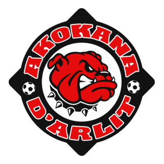 AKOKANA FC D'ARLIT Logo PNG Vector