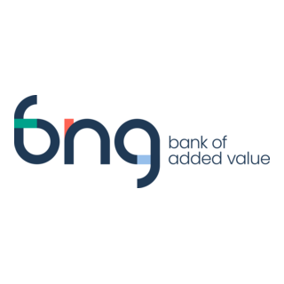 BNG Bank Logo PNG Vector