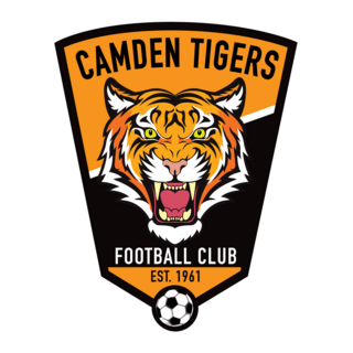 Camden Tigers FC Logo PNG Vector